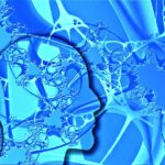 Use of Neural Networks in Data Science