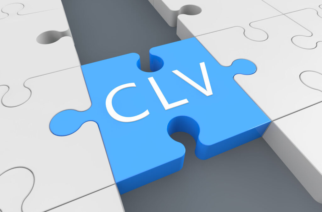Customer lifetime value