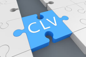 Customer lifetime value