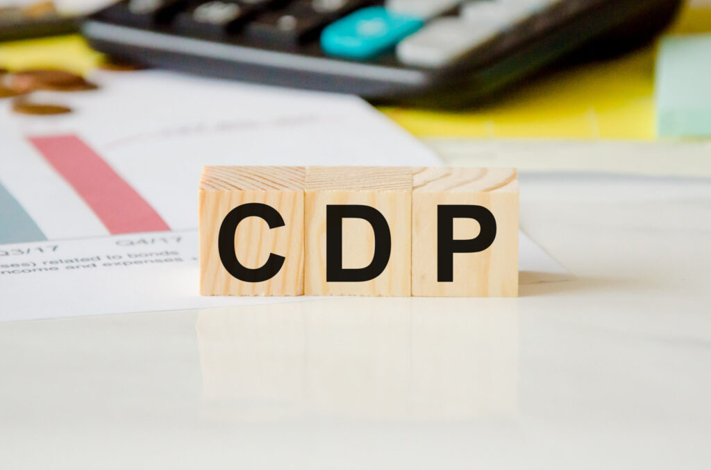 How to Grow Your Business with a CDP