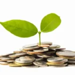 Financial Data Analytics Services