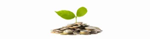 Financial Data Analytics Services